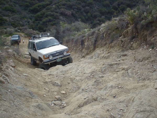 SANY0079.jpg