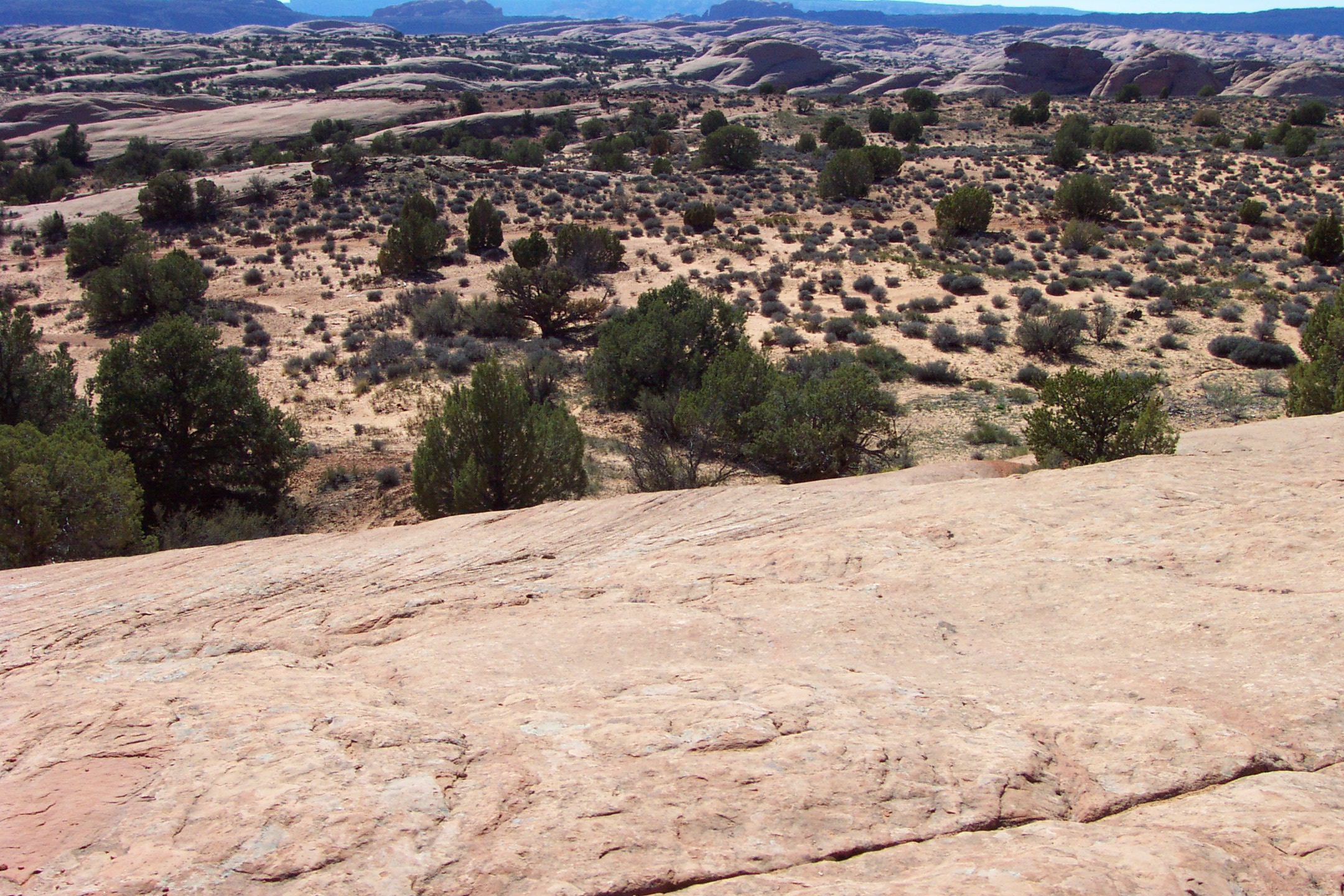 3/moab_glancy_trip_038.jpg