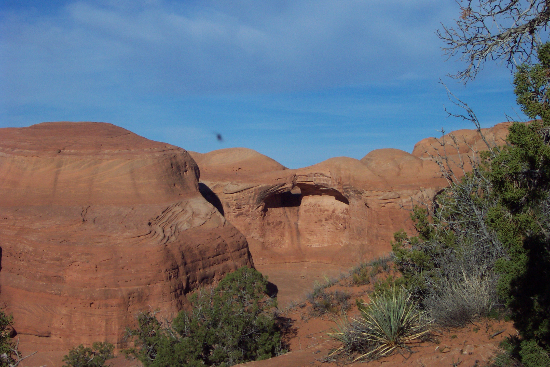 5/moab_glancy_trip_130.jpg