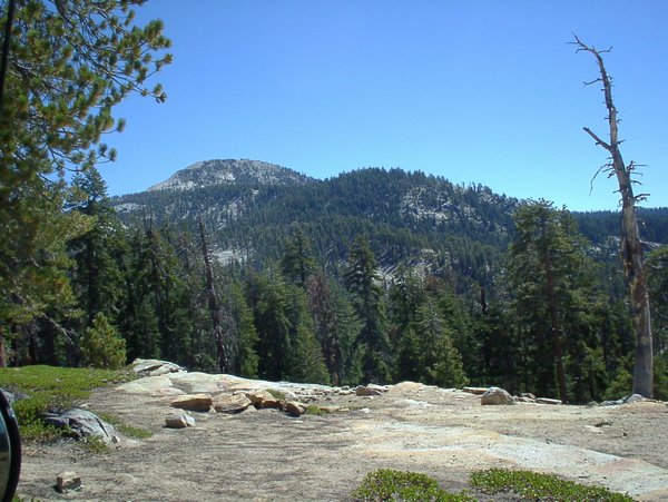 SANY0014.jpg